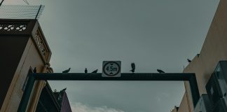 Prevent Bots With SMS OTP Verification: Ultimate Security Guide