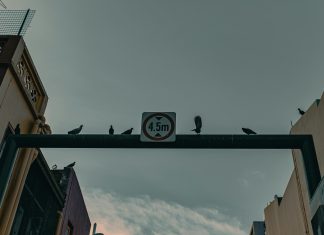 Prevent Bots With SMS OTP Verification: Ultimate Security Guide