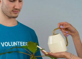 Growing Demand For Temporary SMS Services: Why Businesses Thrive