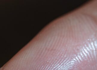 Biometric Vs SMS: Which Identity Method Will Dominate Your Security?