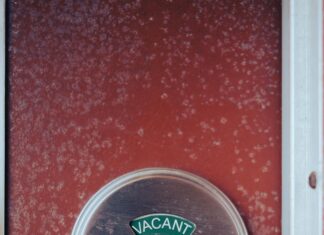 When Not To Use SMS For Security Needs: Shocking Risks Revealed