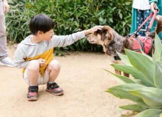 SMS OTP In Zero Trust Security Models: Why It’s A Game-Changer